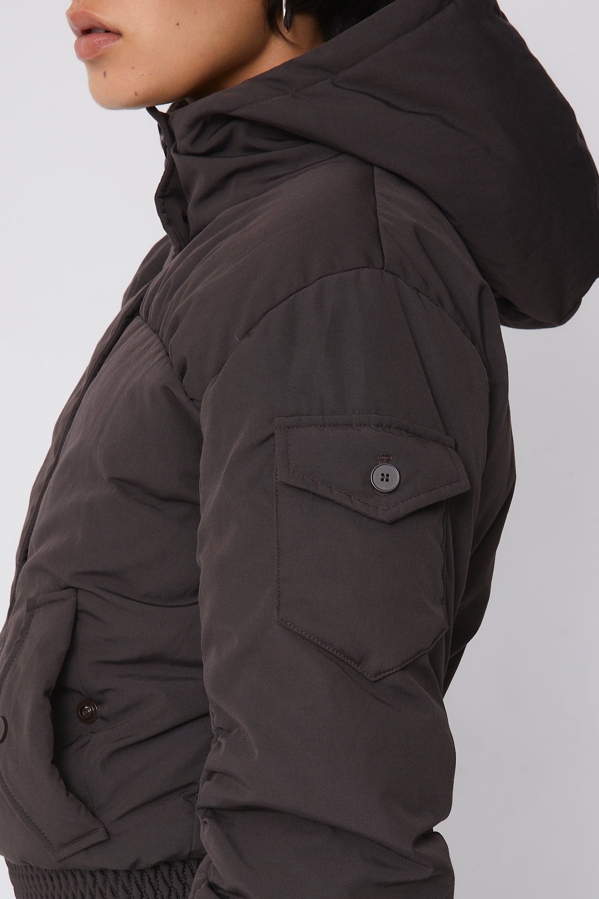 Sandy Puffer, Chocolate